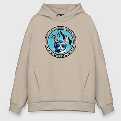 Мужское худи оверсайз Лучше гор может быть только котик