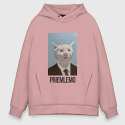 Мужское худи оверсайз Приемлемо - кот мем в живописи