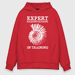 Мужское худи оверсайз Эксперт палеонтолог на стажировке