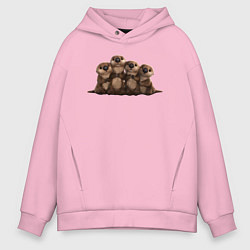 Мужское худи оверсайз Мультяшные бобры