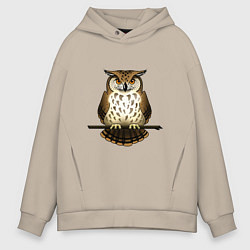 Мужское худи оверсайз Классная сова на ветке