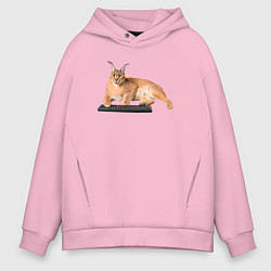 Толстовка оверсайз мужская Большой кот Шлепа с клавиатурой, цвет: светло-розовый