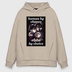 Мужское худи оверсайз Human by chance, alpha by choice