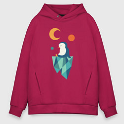 Мужское худи оверсайз Пингвин на айсберге