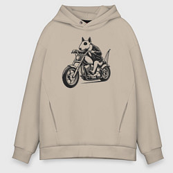 Толстовка оверсайз мужская Бультерьер байкер на мотоцикле чоппере, цвет: миндальный
