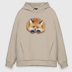 Мужское худи оверсайз Милая пушистая лисичка