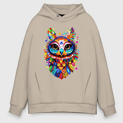 Мужское худи оверсайз Сюрреалистичная сова радужные перья
