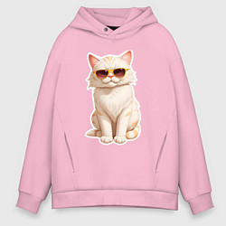 Мужское худи оверсайз Кот в солнечных очках