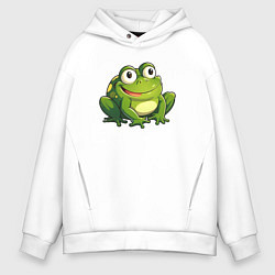 Мужское худи оверсайз Смешная жаба