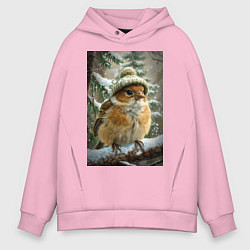 Мужское худи оверсайз Воробей в шапке