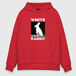 Мужское худи оверсайз White rabbit