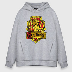Мужское худи оверсайз Hogwarts - gryffindor logo
