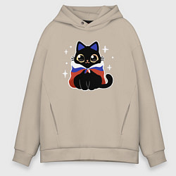 Мужское худи оверсайз Кот с флагом