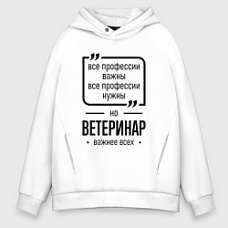 Мужское худи оверсайз Ветеринар важнее всех