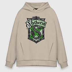 Мужское худи оверсайз Slytherin emblem