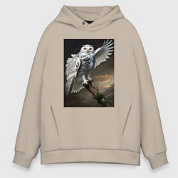 Мужское худи оверсайз Белая сова на ветке