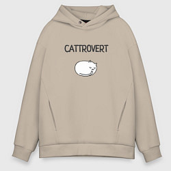 Мужское худи оверсайз Кот-интроверт