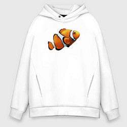 Мужское худи оверсайз Рыбка попугай