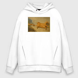 Мужское худи оверсайз Сотворение рыжего кота