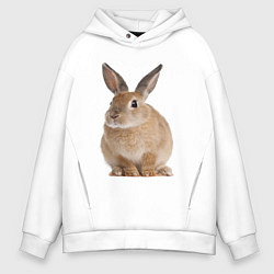 Мужское худи оверсайз Бежевый кролик