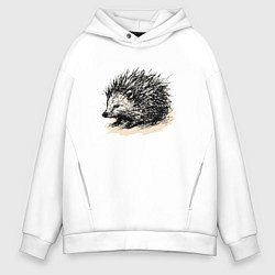 Мужское худи оверсайз Скетч Ёж