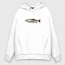 Мужское худи оверсайз Селёдка в профиль