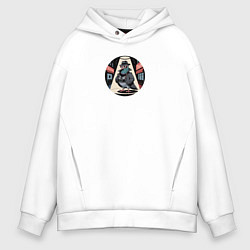 Мужское худи оверсайз Голубь шпион со старым фотоаппаратом - брейнрот Шп