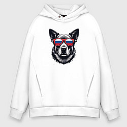 Мужское худи оверсайз Собака в солнцезащитных очках с флогом России