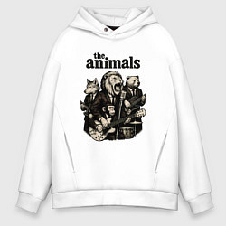 Мужское худи оверсайз The animals группа из зверей