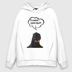 Мужское худи оверсайз Не люблю сухой корм кот кошка