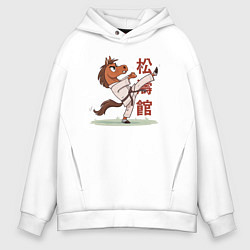 Мужское худи оверсайз Иго-го каратист