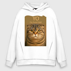 Мужское худи оверсайз Yo - Im Scottish Fold