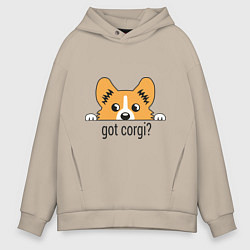 Мужское худи оверсайз Got Corgi