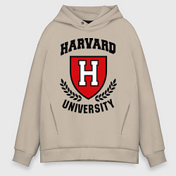 Мужское худи оверсайз Harvard University