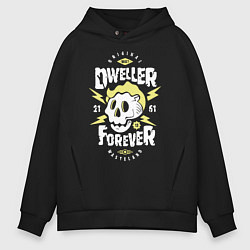 Мужское худи оверсайз Dweller Forever