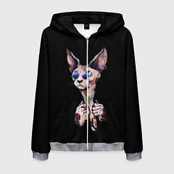 Толстовка 3D на молнии мужская Сфинкс, цвет: 3D-меланж