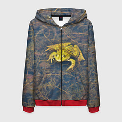 Мужская толстовка на молнии Лягушка