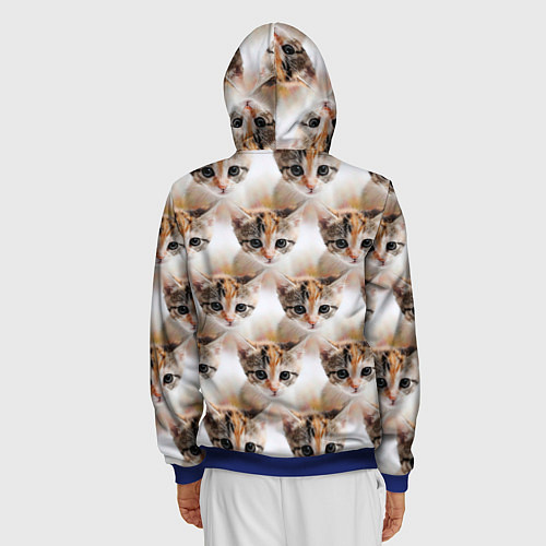 Мужская толстовка на молнии Маленький котенок паттерн / 3D-Синий – фото 4