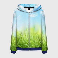 Мужская толстовка на молнии Зелень и небо