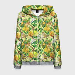 Толстовка 3D на молнии мужская Птица на грушевом дереве, цвет: 3D-меланж