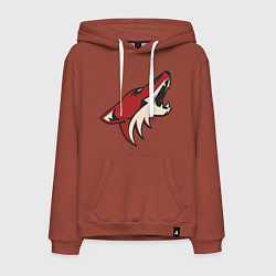 Толстовка-худи хлопковая мужская Phoenix Coyotes, цвет: кирпичный