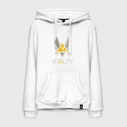 Мужская толстовка-худи VITALITY Team: Esports