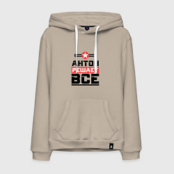 Мужская толстовка-худи Антон решает все