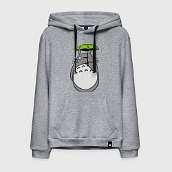 Мужская толстовка-худи Totoro с зонтом