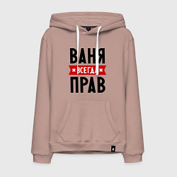 Мужская толстовка-худи Ваня всегда прав