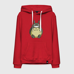 Мужская толстовка-худи Тоторо