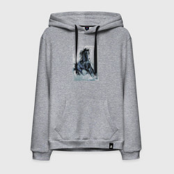 Мужская толстовка-худи Лошадь арт