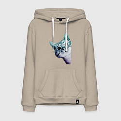 Мужская толстовка-худи Любопытный кот