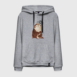 Мужская толстовка-худи СПЯЩИЙ КОТ