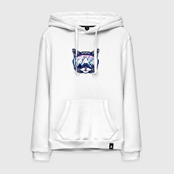 Толстовка-худи хлопковая мужская Кот в лыжных очках, цвет: белый